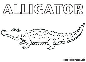 Free Alligator Coloring Page The Tucson Puppet Lady
