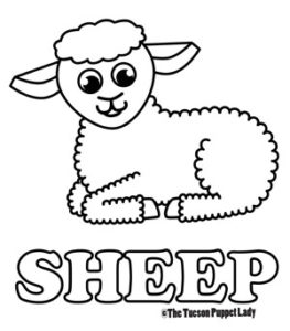 Free Sheep Coloring Page – The Tucson Puppet Lady